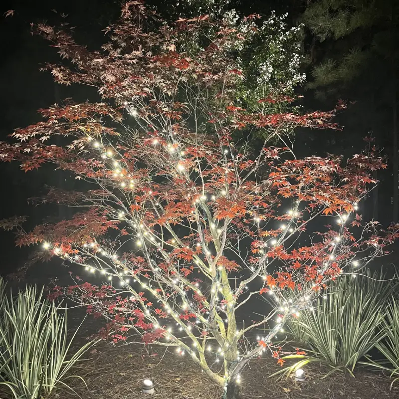 Christmas Light Installation in York County, VA