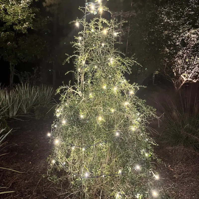 Christmas Light Installation in York County, VA
