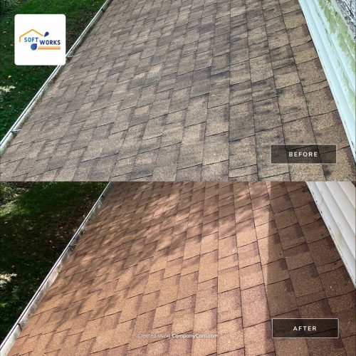 Roof Cleaning in Portsmouth, VA